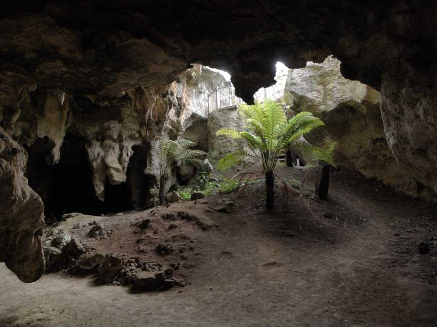 Naracoorte Caves National Park, Naracoorte, SA