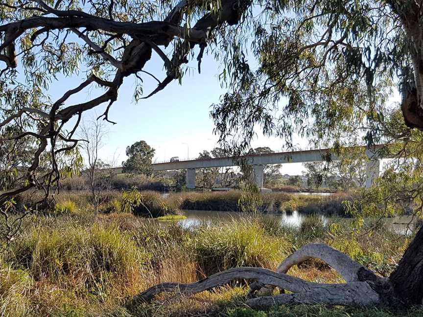 Swanport Wetlands, Murray Bridge, SA