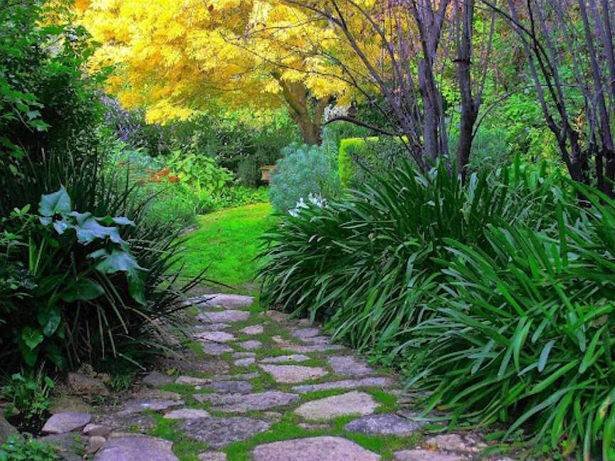 Out of Town Nursery and Humming Garden, Chiltern, VIC