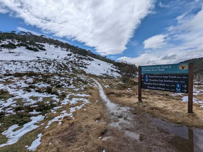 Dead Horse Gap walking track, Thredbo, NSW