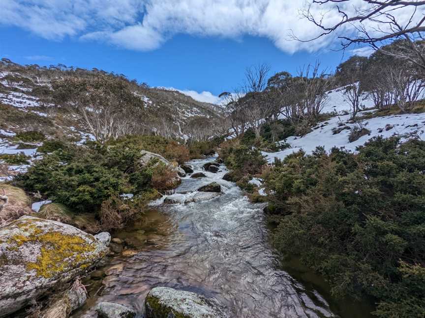 Dead Horse Gap walking track, Thredbo, NSW