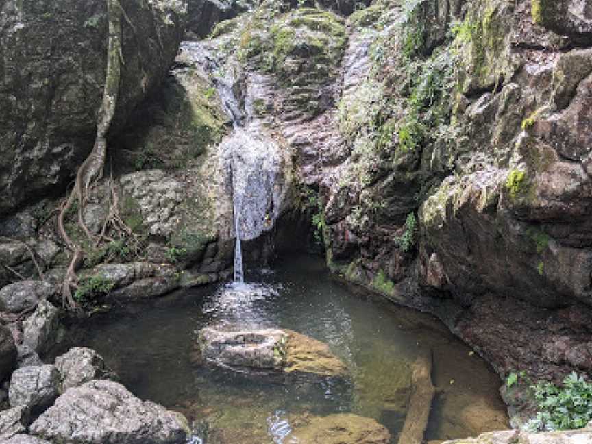 Amamoor State Forest, Amamoor, QLD