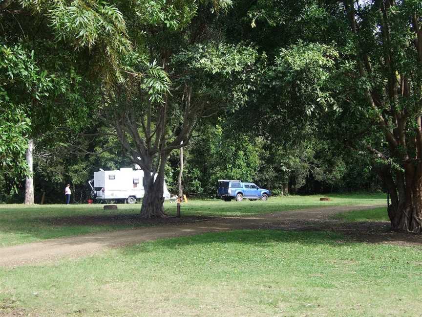 Amamoor State Forest, Amamoor, QLD