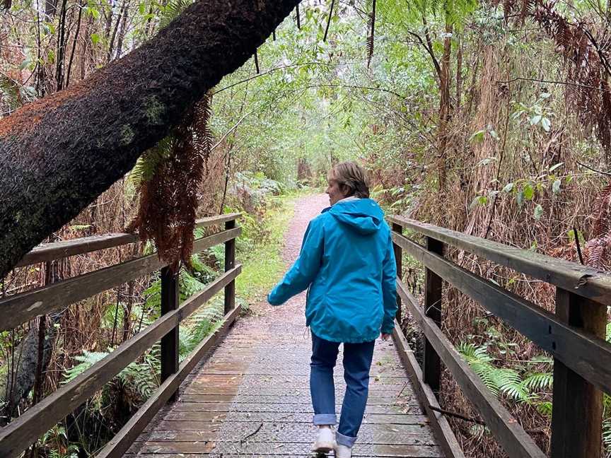 Beauty Spot Nature Trail, Marysville, VIC