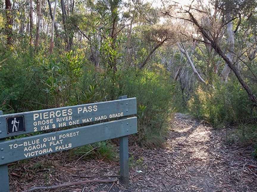 Pierces Pass to Blue Gum Forest Walking Track, Mount Tomah, NSW