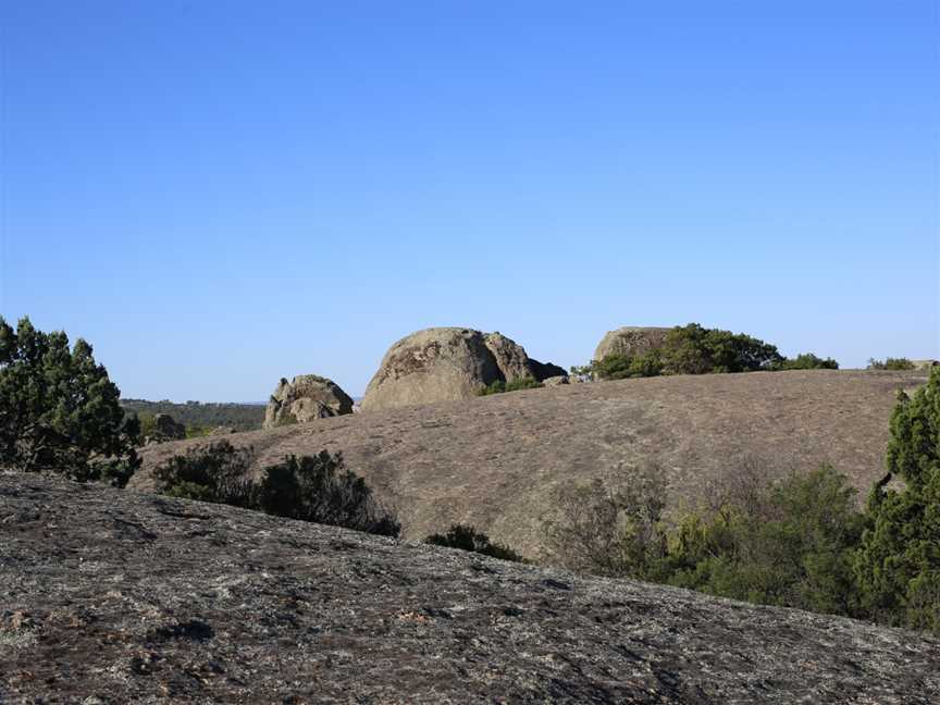 Terrick Terrick National Park, Mitiamo, VIC