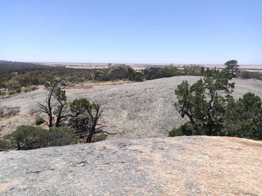 Terrick Terrick National Park, Mitiamo, VIC