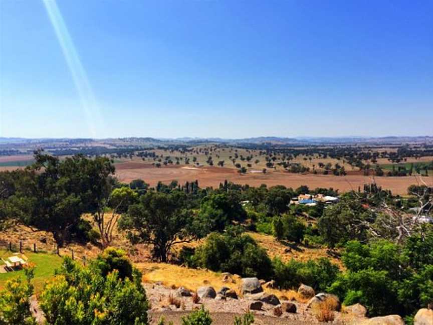 Bellevue Hill Reserve, Cowra, NSW