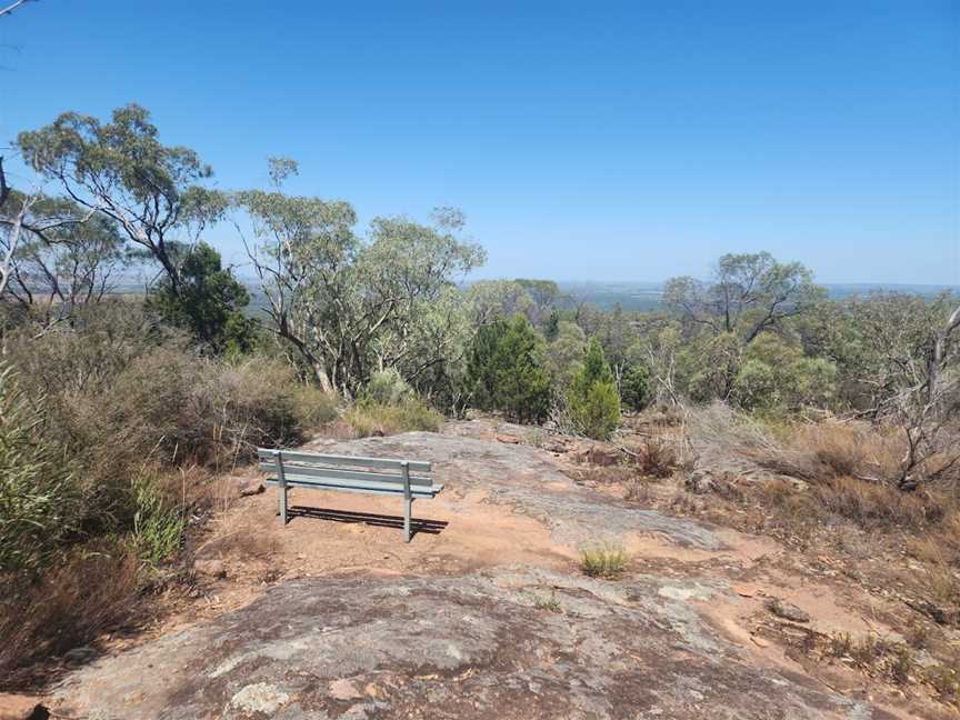 Mount Brogden Walking Track, Binya, NSW