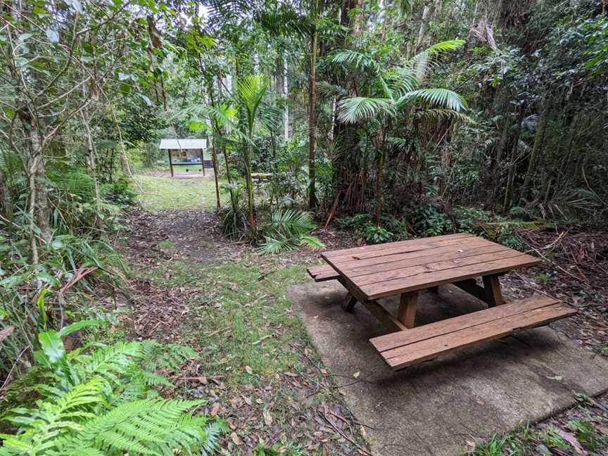 Grandis picnic area, Boolambayte, NSW