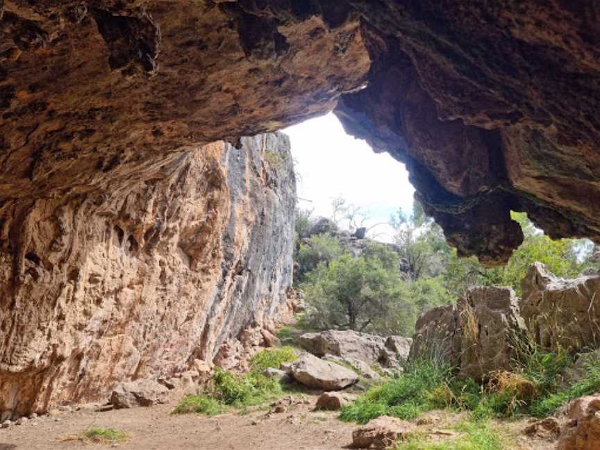 Borenore Karst Conservation Reserve, Borenore, NSW