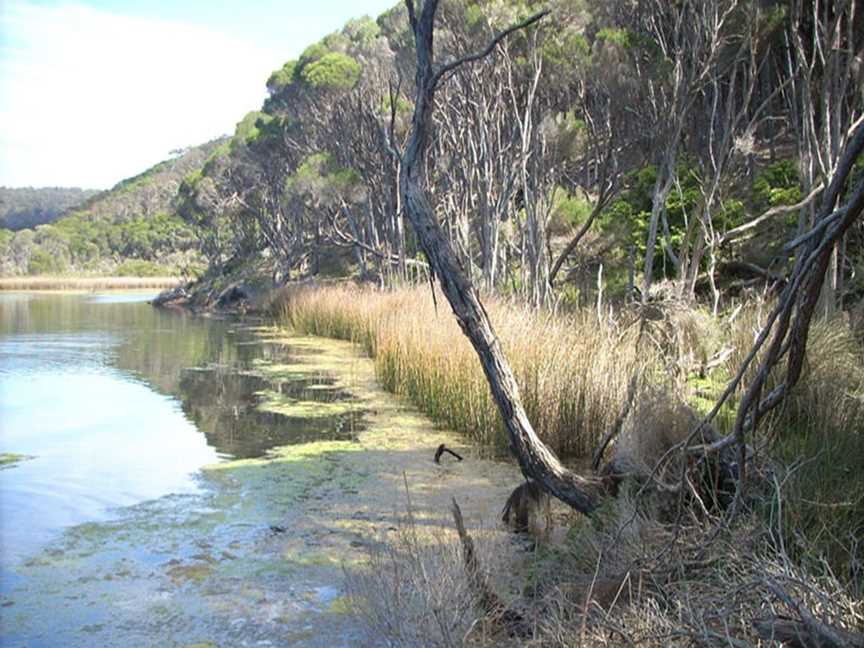 Bournda Lagoon, Bournda, NSW