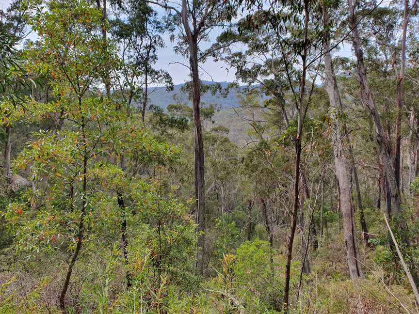 Nattai Gorge Lookout, Mittagong, NSW