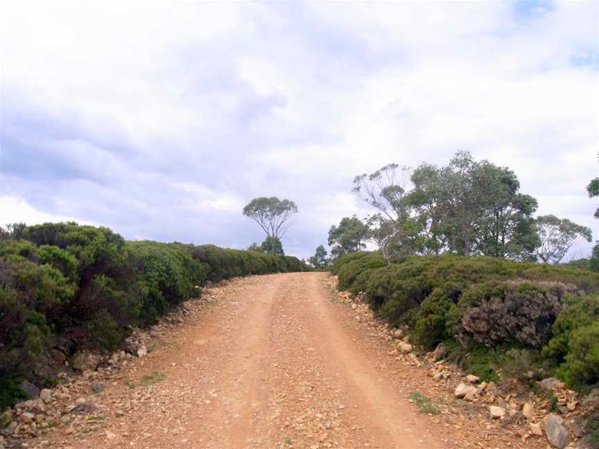 Wadbilliga National Park, Brogo, NSW
