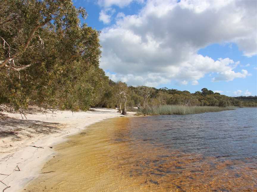 Brown Lake, North Stradbroke Island, QLD