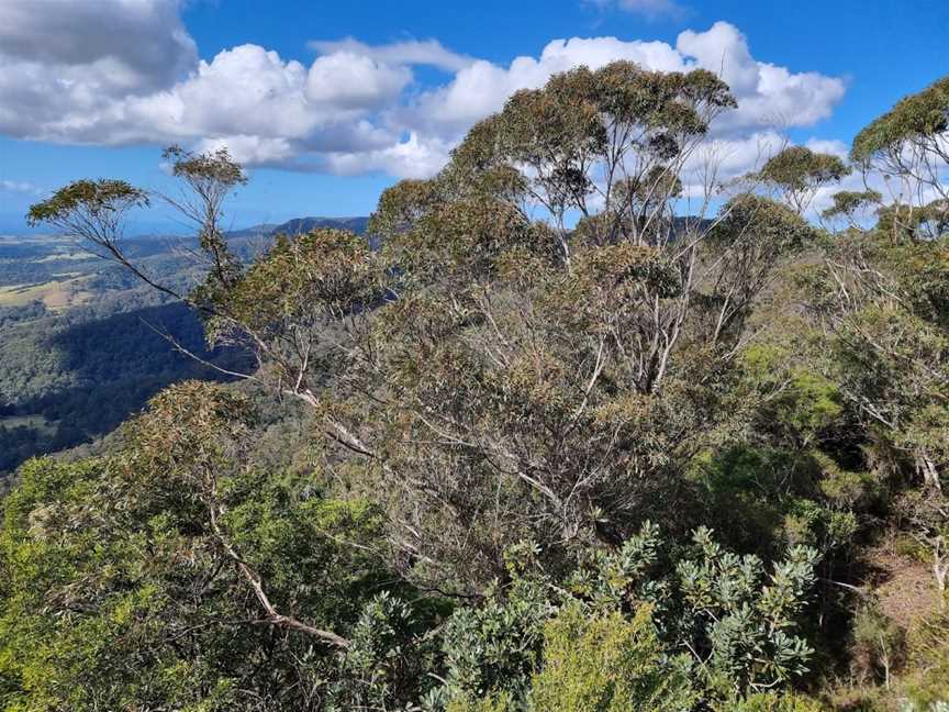 Jamberoo lookout, Budderoo, NSW