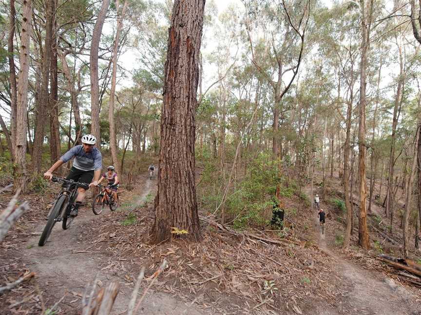 Tathra Mountain Bike Trails, Tathra, NSW