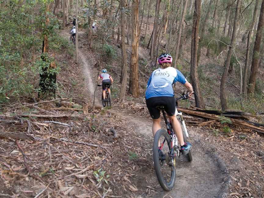 Tathra Mountain Bike Trails, Tathra, NSW