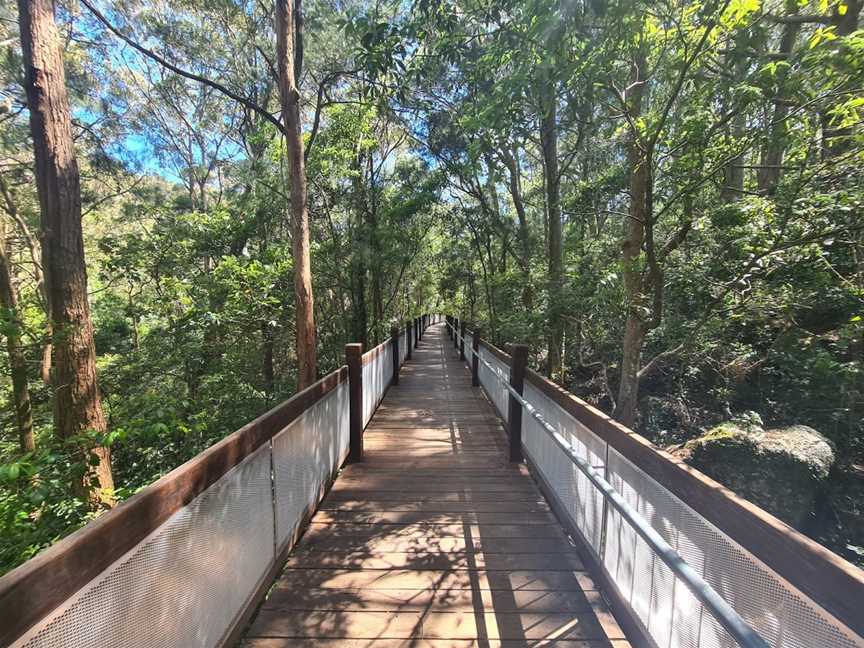 Yuelarbah Walking Track, Whitebridge, NSW