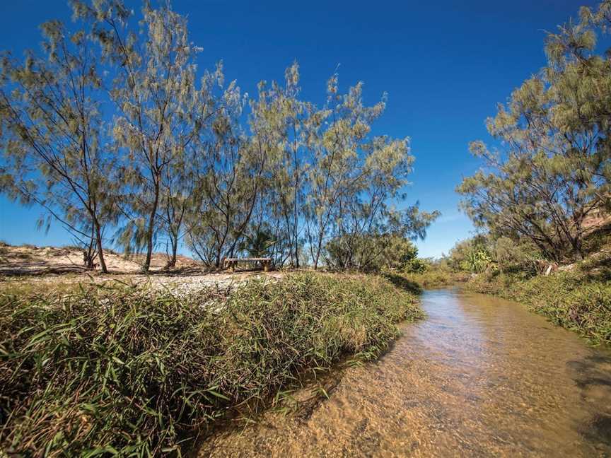 Byfield National Park, Conservation Park and State Forest, Byfield, QLD