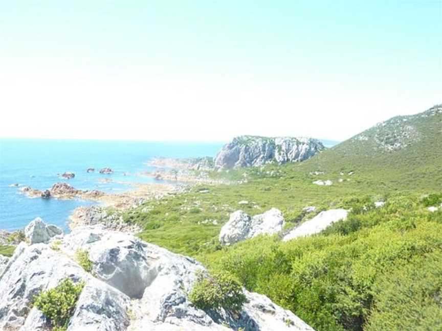 Rocky Cape National Park, Rocky Cape, TAS