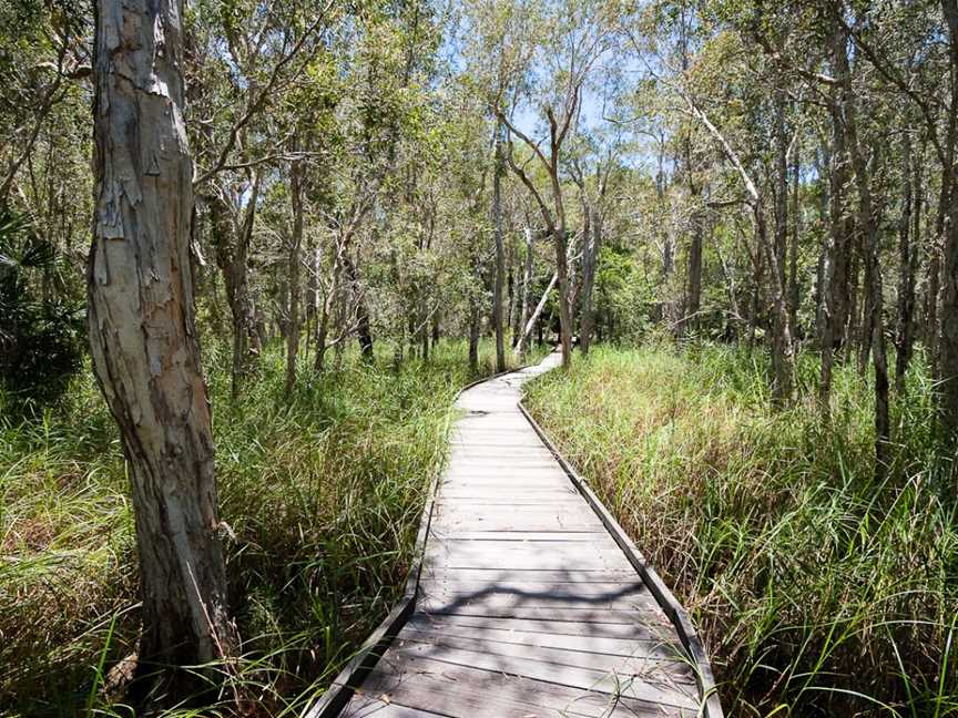 Burrum Coast National Park, Bundaberg, QLD