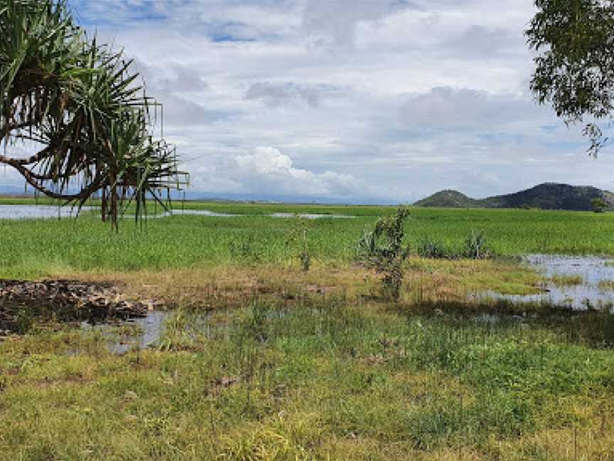 Townsville Town Common Conservation Park, Townsville, QLD