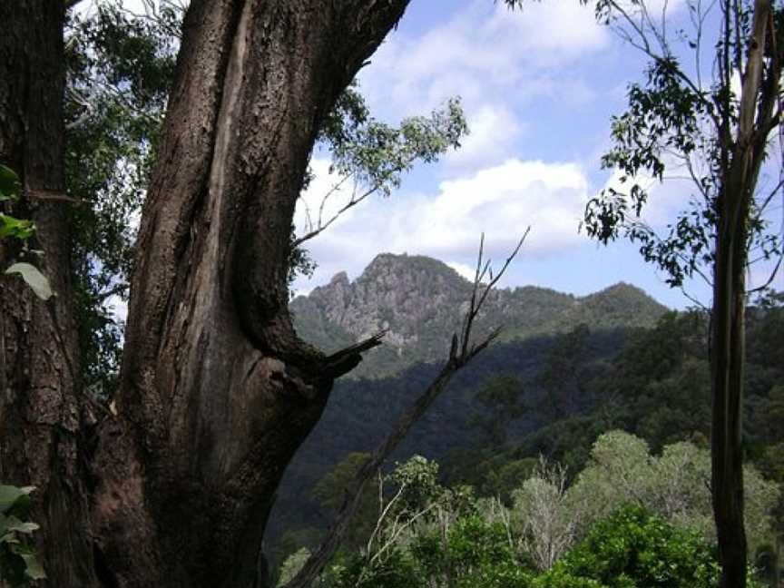 Flinders-Goolman Conservation Estate, Purga, QLD