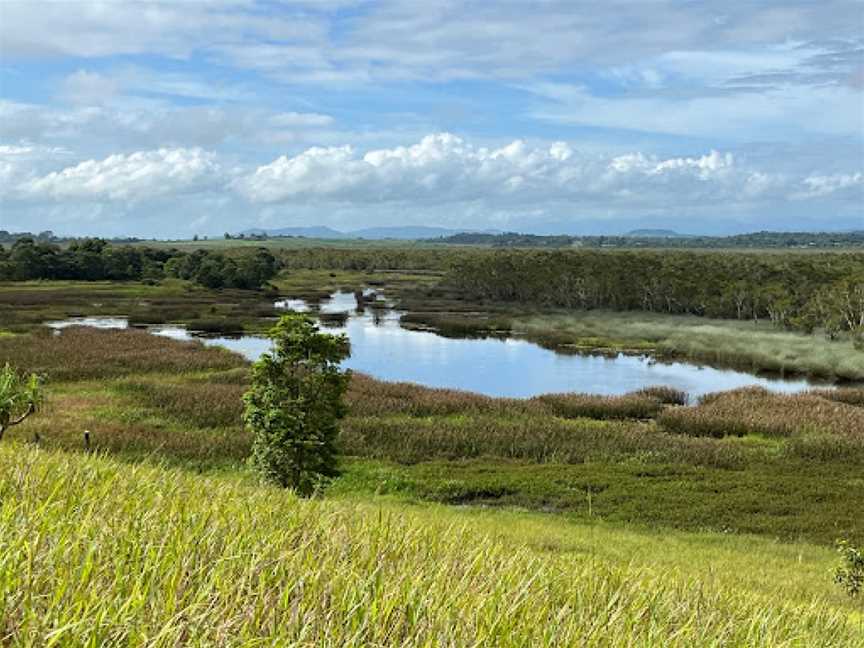 Eubenangee Swamp National Park, Babinda, QLD