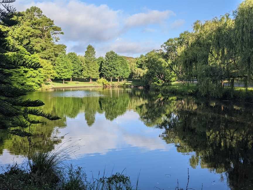 One More Shot Pond, Centennial Park, NSW