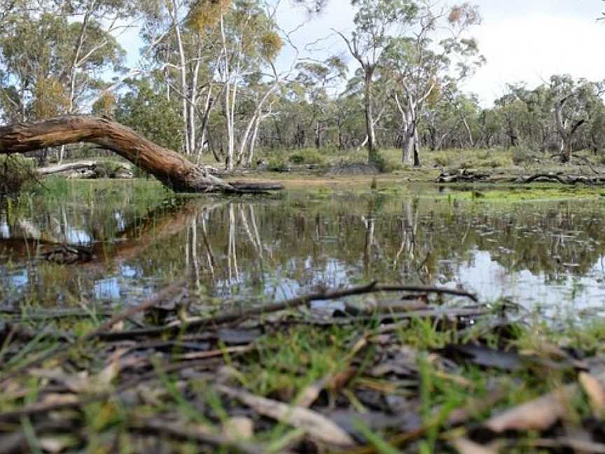 Black Range State Park, Cherrypool, VIC