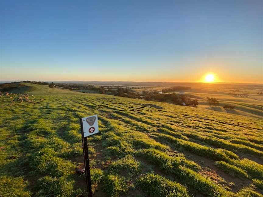 Clare Valley Wine and Wilderness Trail, Clare, SA