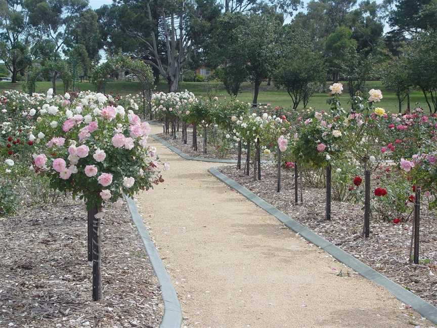 Victoria Park Rose Garden, Goulburn, NSW