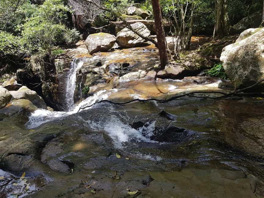 Clover Hill Trail, Macquarie Pass, NSW