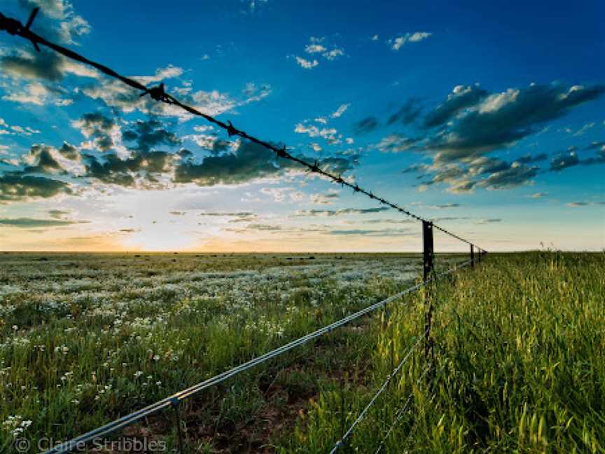 Hay Sunset Viewing Area, Hay, NSW