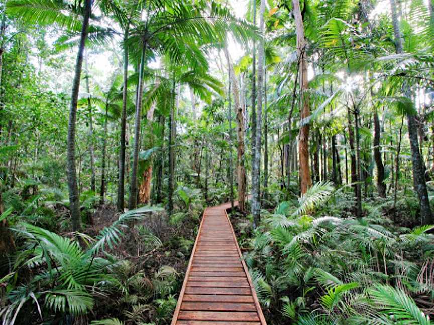 Cairns Botanic Gardens, Edge Hill, QLD