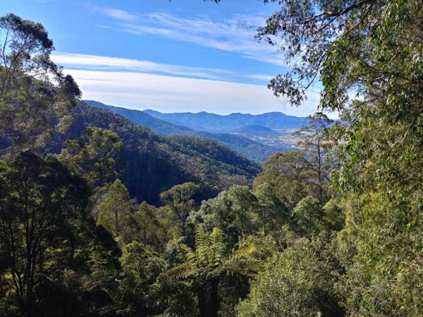 South East Forest National Park, Coolangubra, NSW