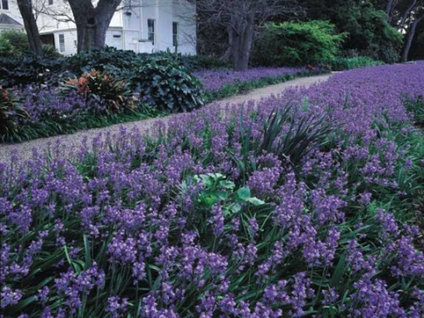 Como House and Garden, South Yarra, VIC