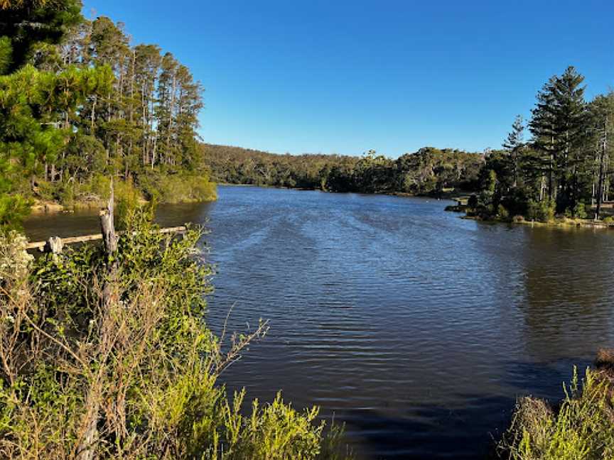 Koala Park (Creswick Regional Park), Creswick, VIC