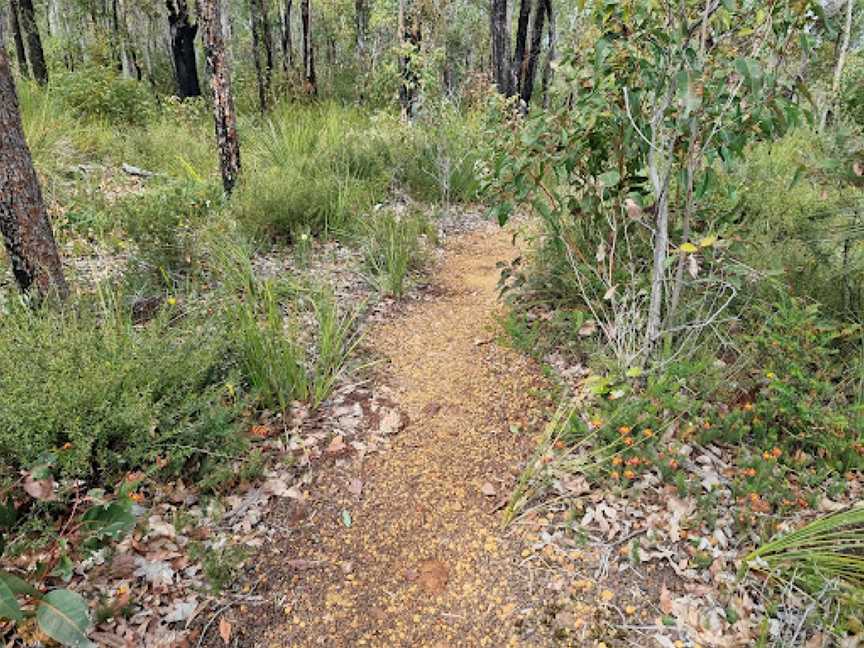 Forest Path, Crooked Brook, Dardanup, WA