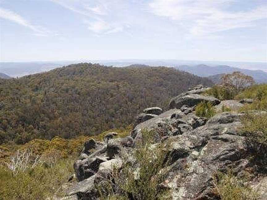 Burrowa-Pine Mountain National Park, Tintaldra, VIC