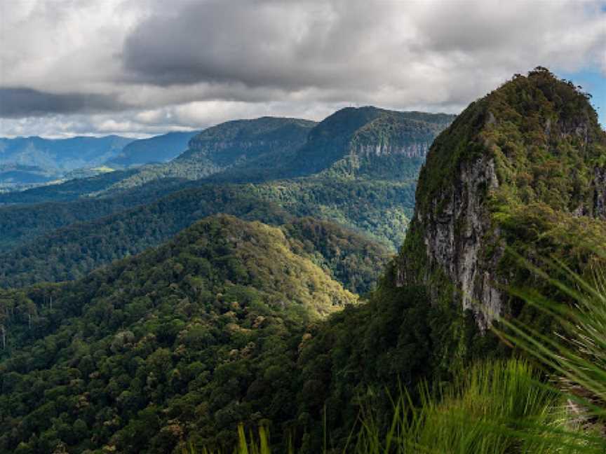 Mount Cougal, Springbrook National Park, Currumbin Valley, QLD