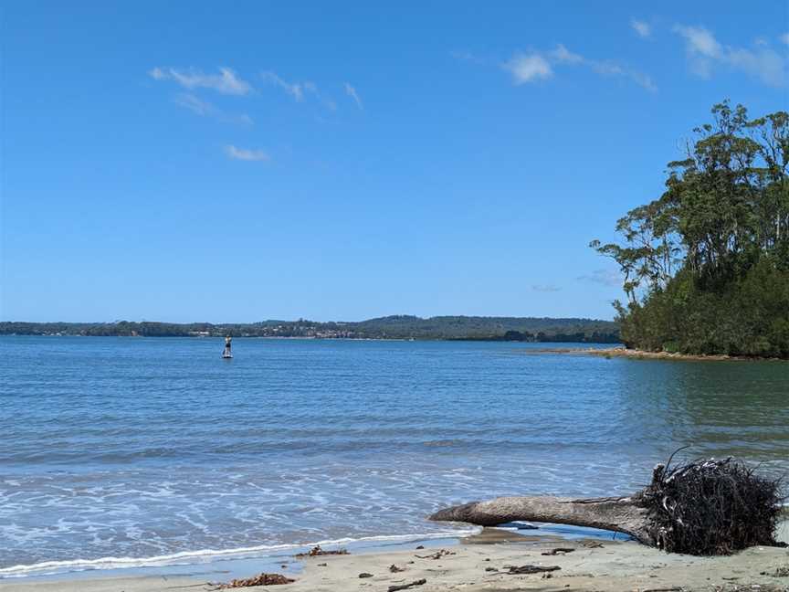 Cullendulla Creek Nature Reserve, Surfside, NSW