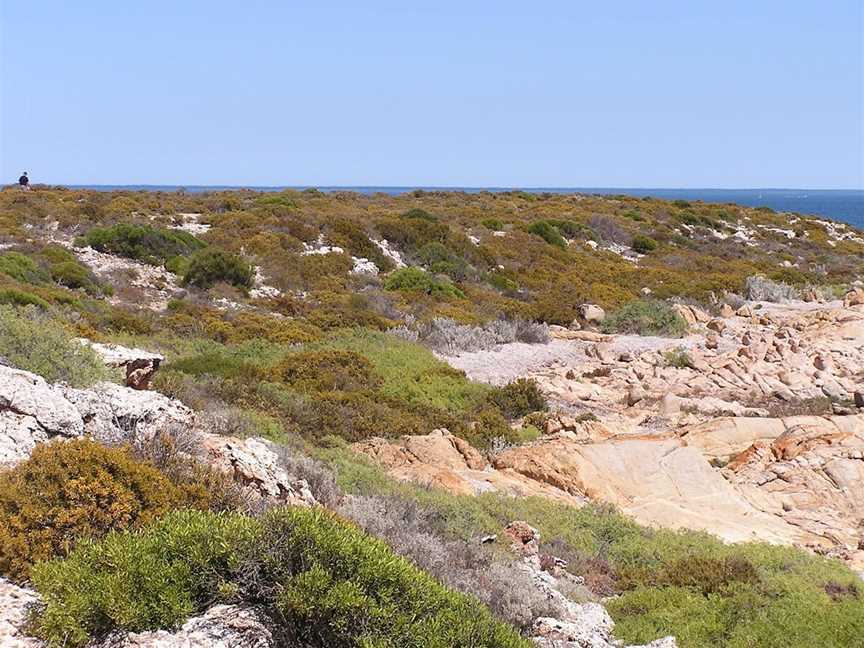 Wittelbee Conservation Park, Ceduna, SA