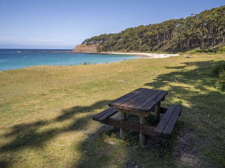 Depot Beach picnic area, Depot Beach, NSW