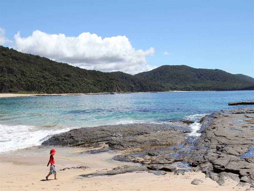 Depot Beach picnic area, Depot Beach, NSW