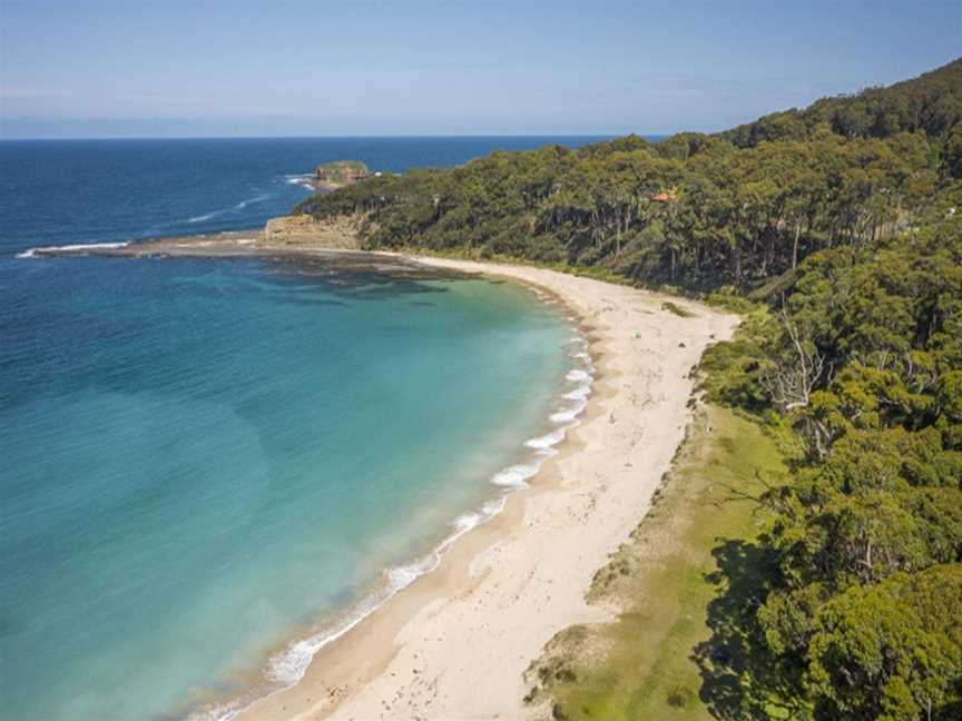 Depot Beach picnic area, Depot Beach, NSW