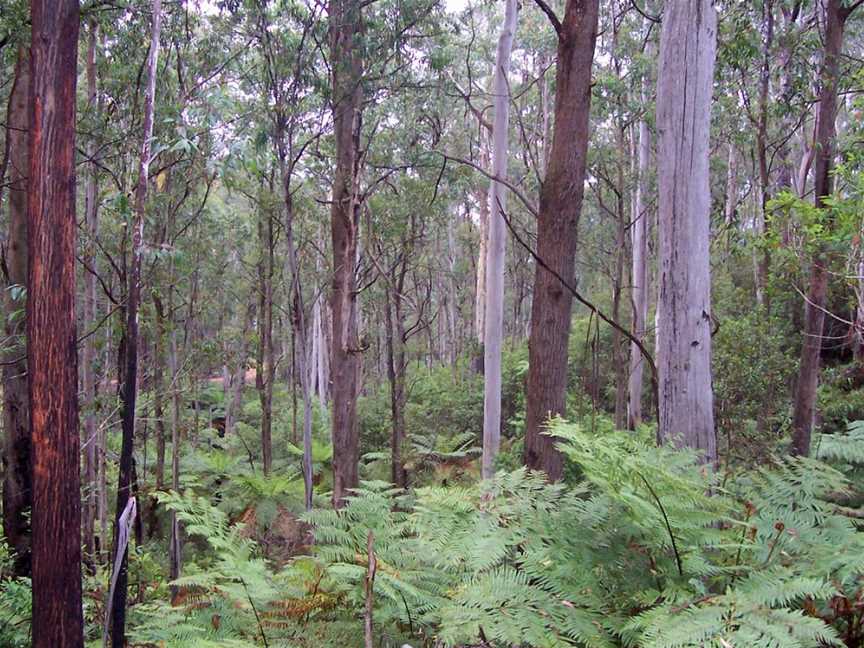 Deua National Park, Deua, NSW