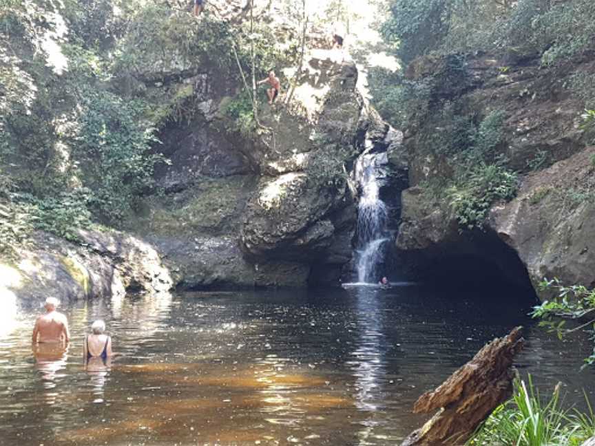 Tapin Tops National Park, Dingo Forest, NSW