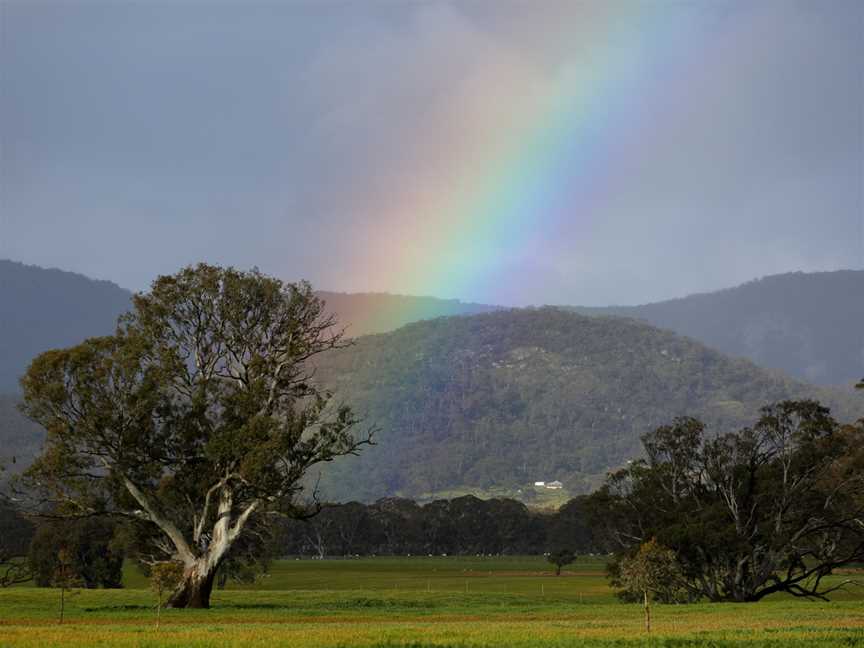 Mount Buangor State Park, Middle Creek, VIC